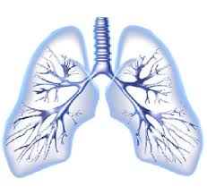 Lung rehab in delhi