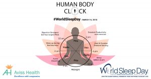 Ayurvedic Clock and Sleep Rhythm